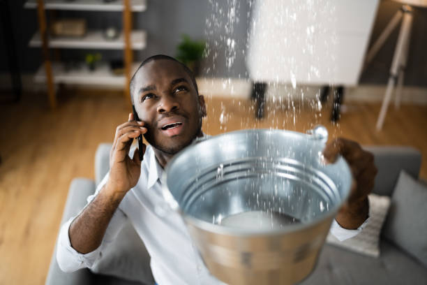Best Local water damage restoration  in Wickerham Manor Fisher, PA