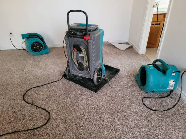Best Water damage contractors near me  in Wickerham Manor Fisher, PA
