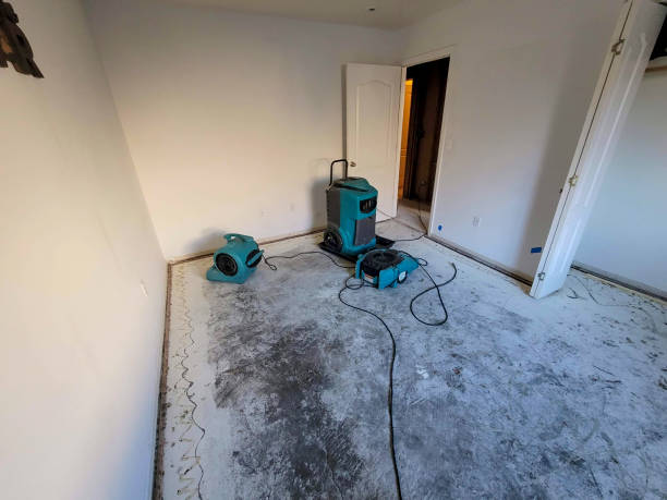 Best Mold removal after water damage  in Wickerham Manor Fisher, PA