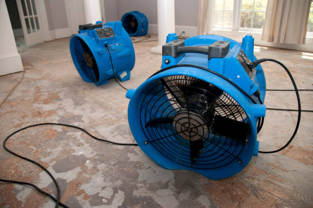 Best Residential water damage restoration  in Wickerham Manor Fisher, PA