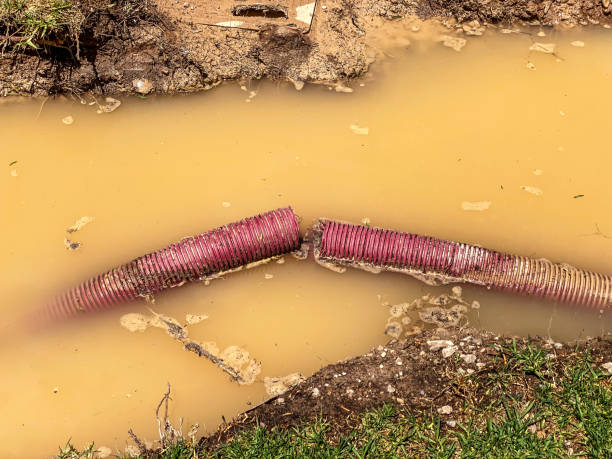 Best Professional water damage repair  in Wickerham Manor Fisher, PA